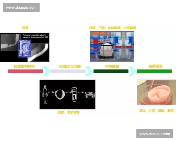 最新赛事结果全面汇总与各队积分排名动态走势深度解析详解及趋势